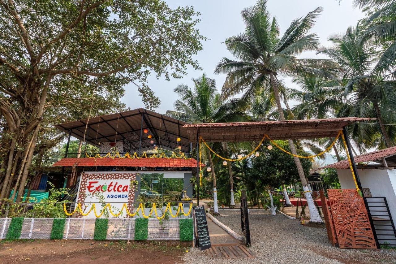 Hotel The Exotica Agonda Zewnętrze zdjęcie