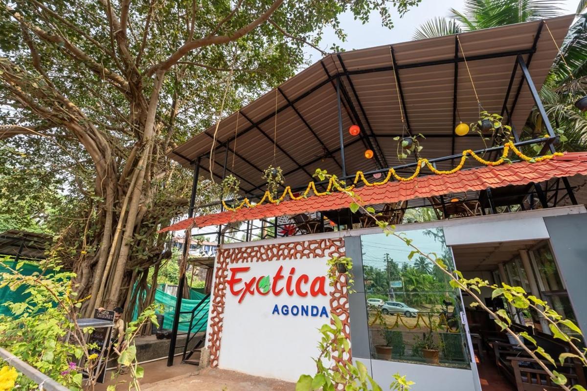 Hotel The Exotica Agonda Zewnętrze zdjęcie