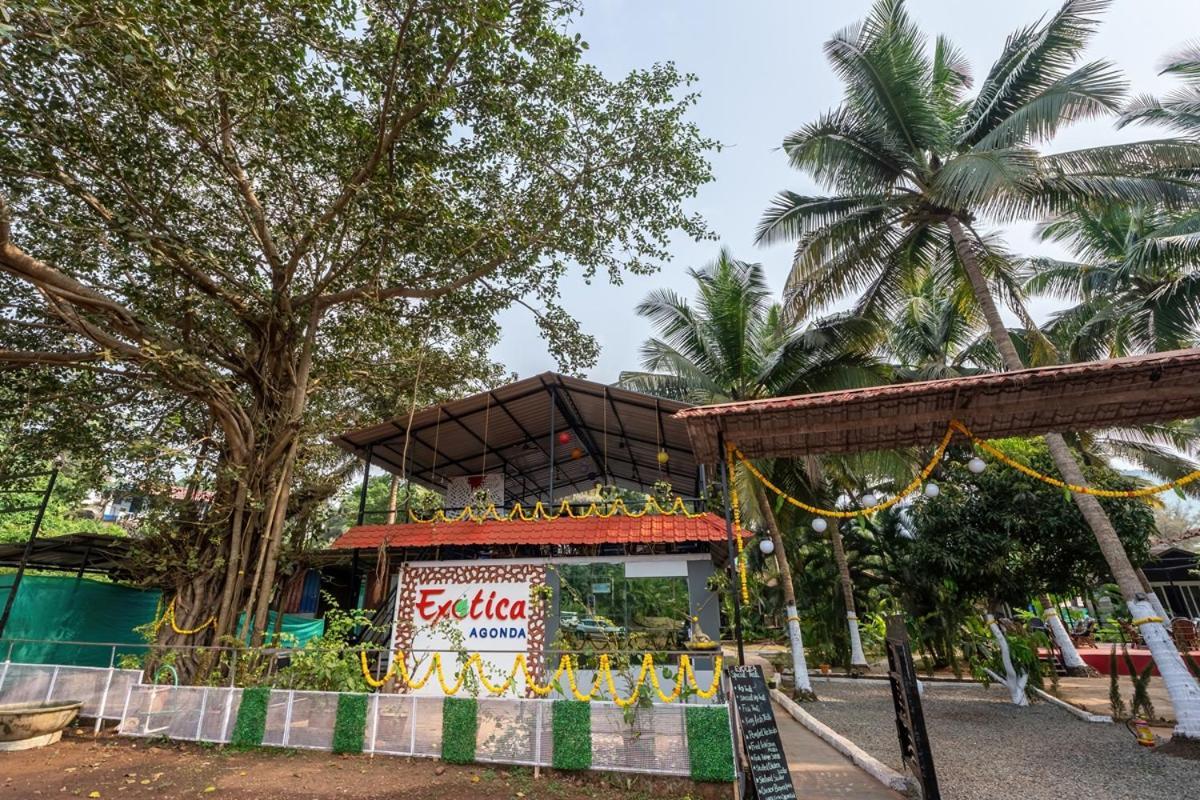 Hotel The Exotica Agonda Zewnętrze zdjęcie